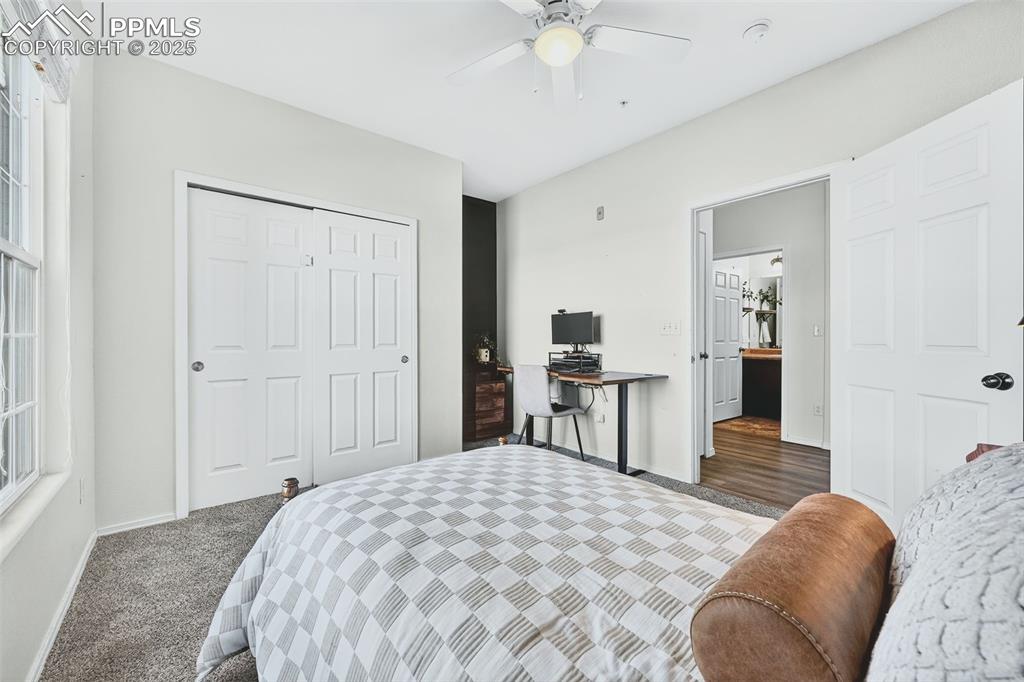 Bedroom featuring a ceiling fan, carpet floors, and a closet