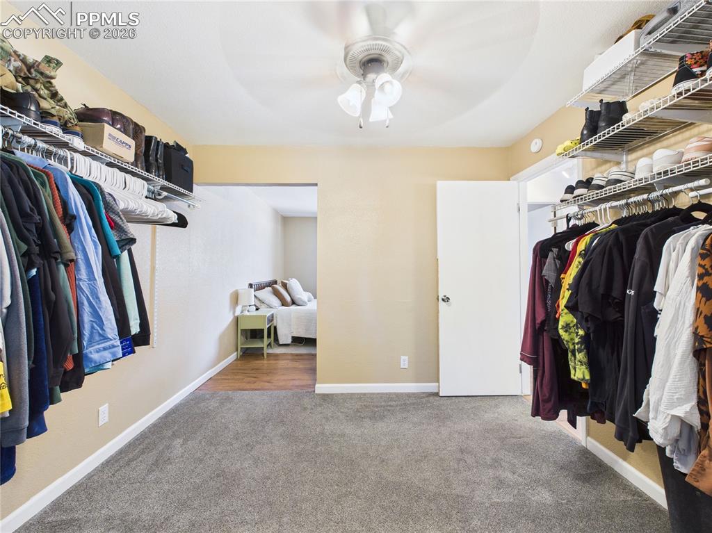 Walk in closet featuring carpet floors and a ceiling fan