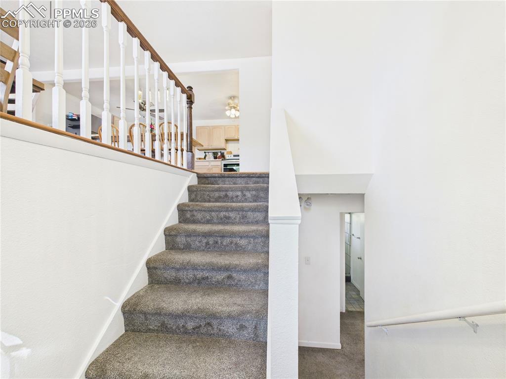 Stairway with carpet