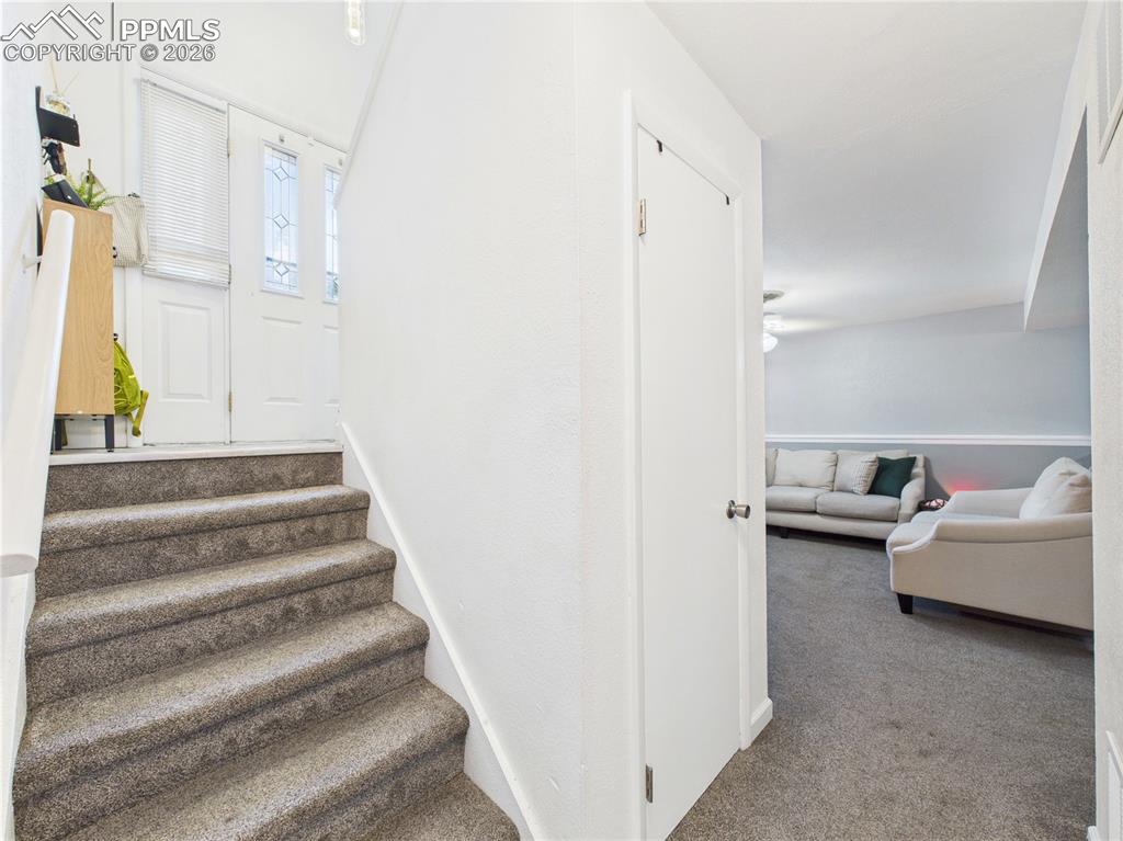 Stairway featuring carpet floors