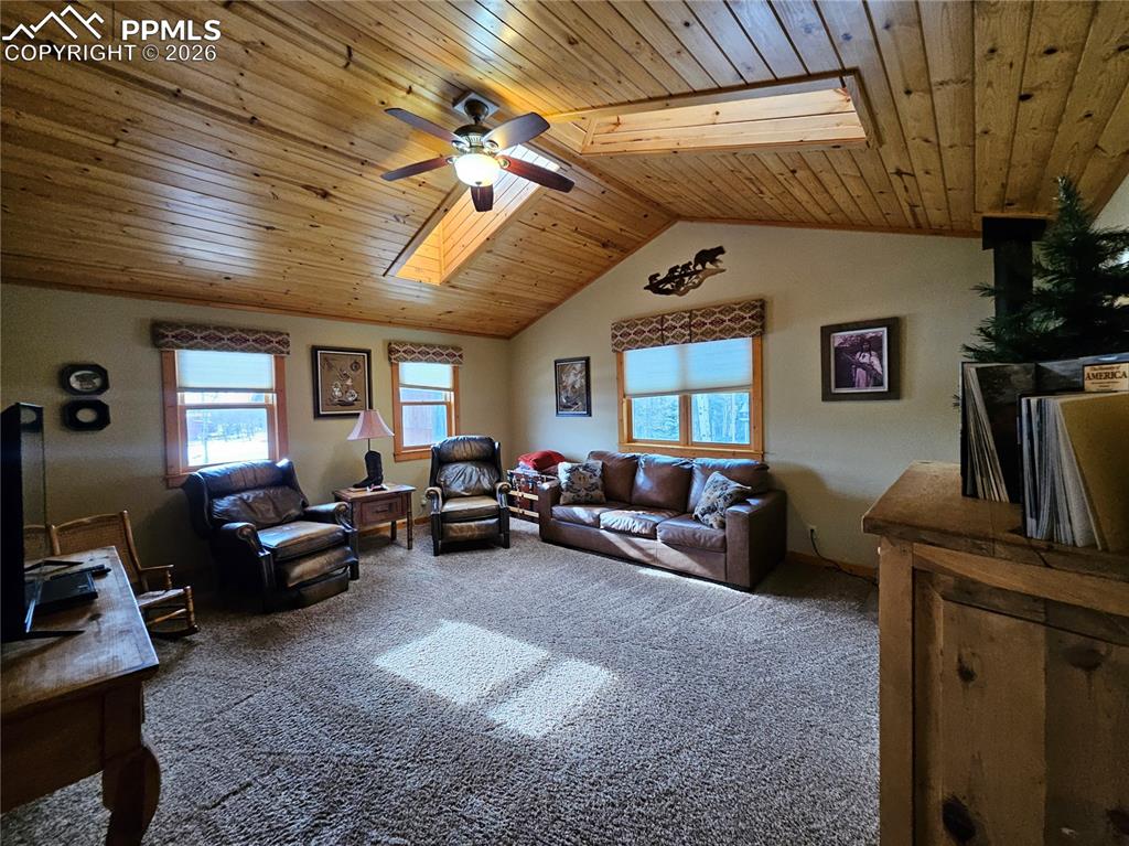 Cabin living room, carpeted, with skylights, wood ceiling, a ceiling fan, and plenty of natural light