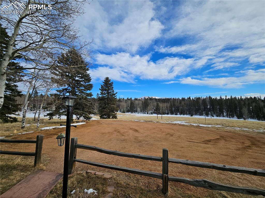 View of Pikes Peak and property trees / land from the cabin