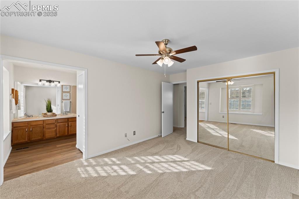 All new paint and carpet