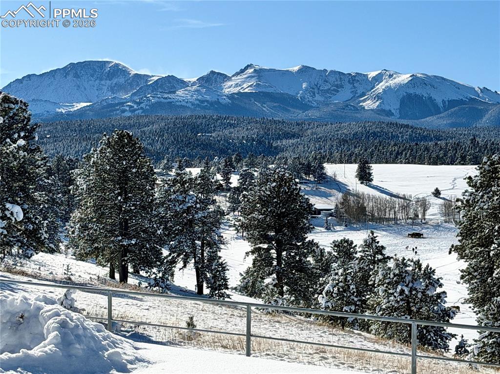 231 S Forty Road photo 2