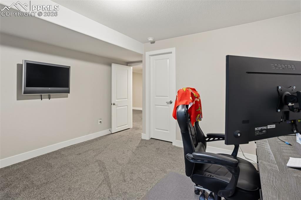 Basement Bedroom
