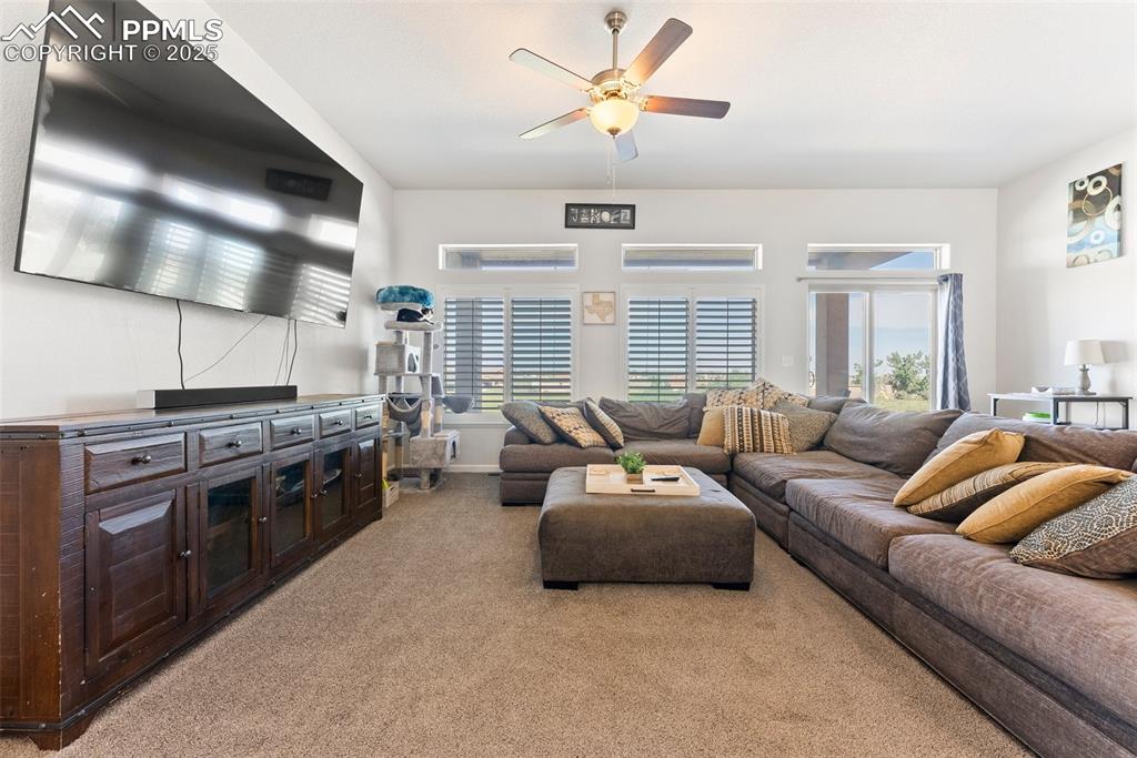 Large living room complete with walk-out to covered patio, plantation shutters, and ceiling fan! Tons of natural light!