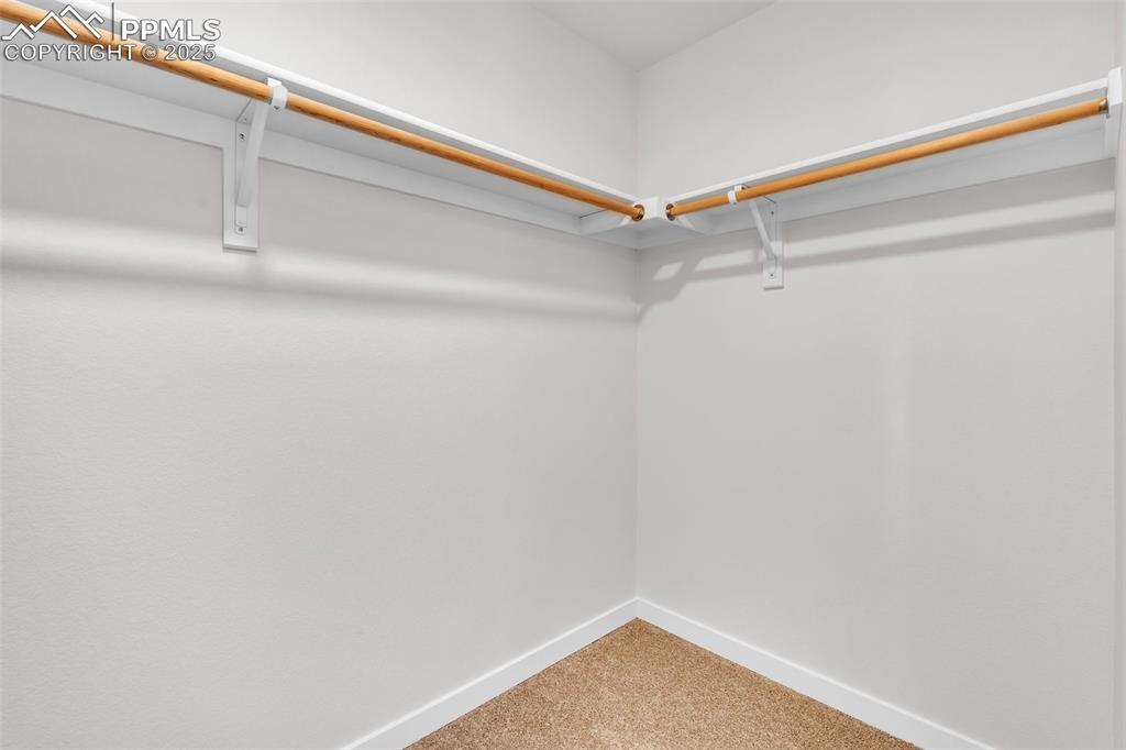 Spacious closet featuring carpet