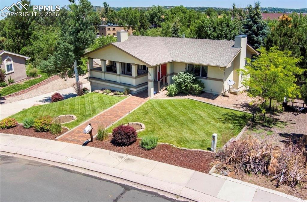 When the yard was green!