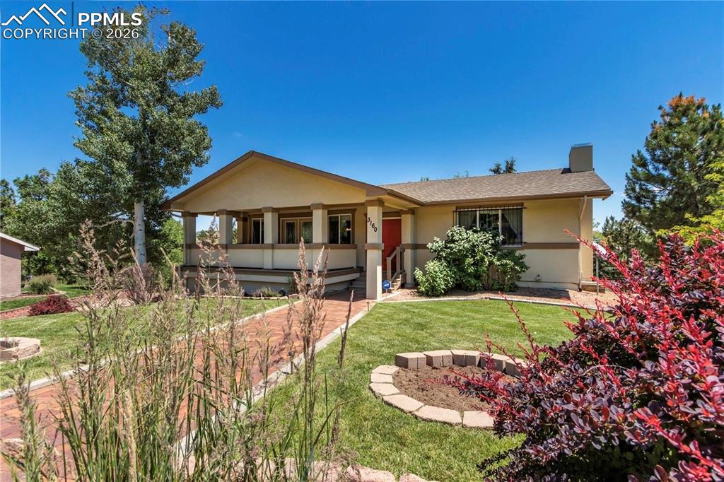 When yard was green!