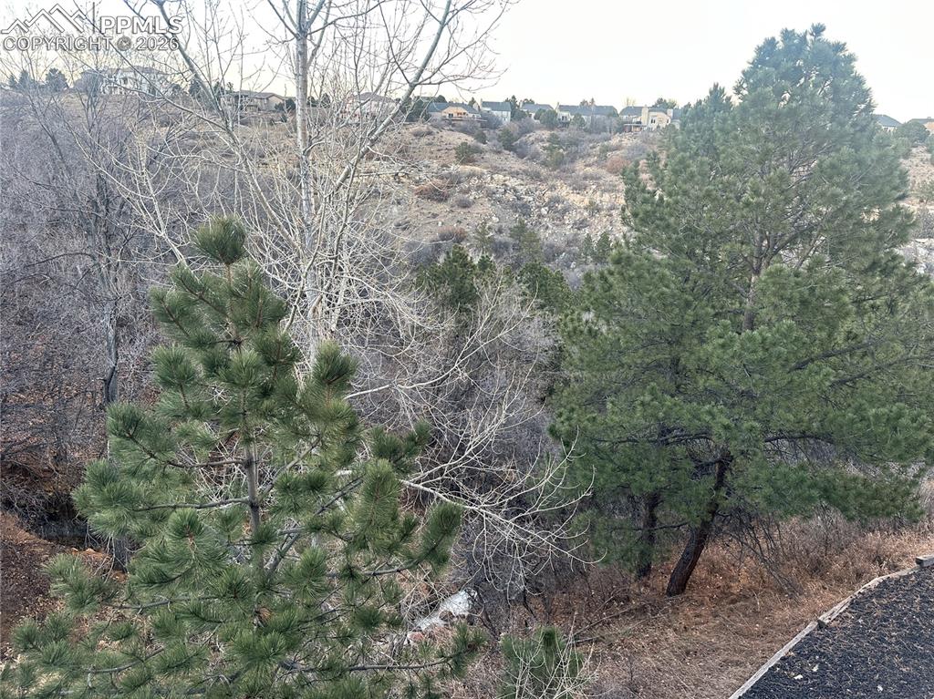 Lots of trees and lots of space behind the townhome