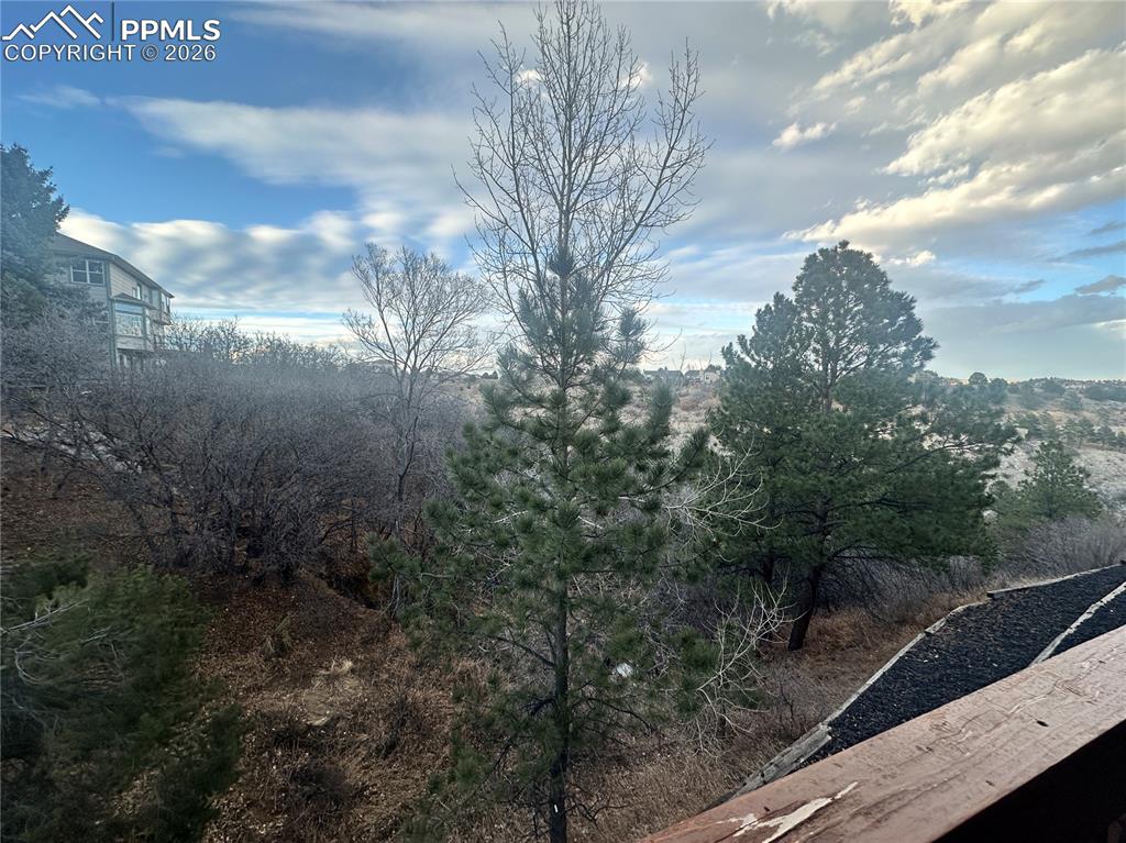 view oof the ravine that is behind the home