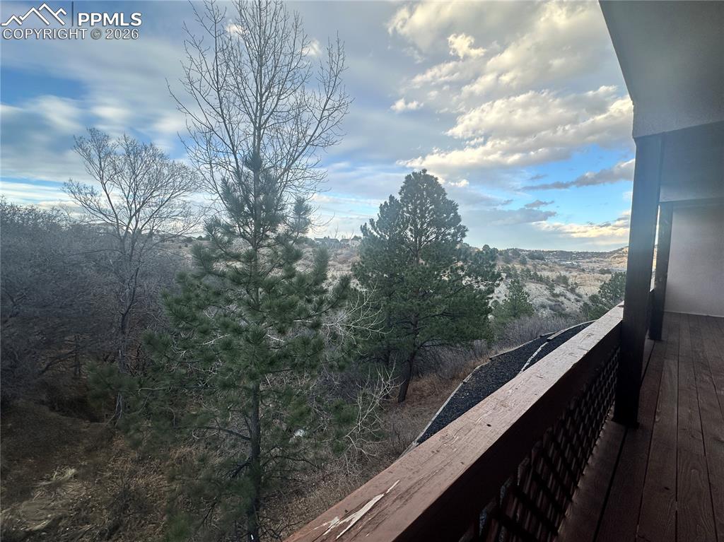 View of the trees and nature from the back deck