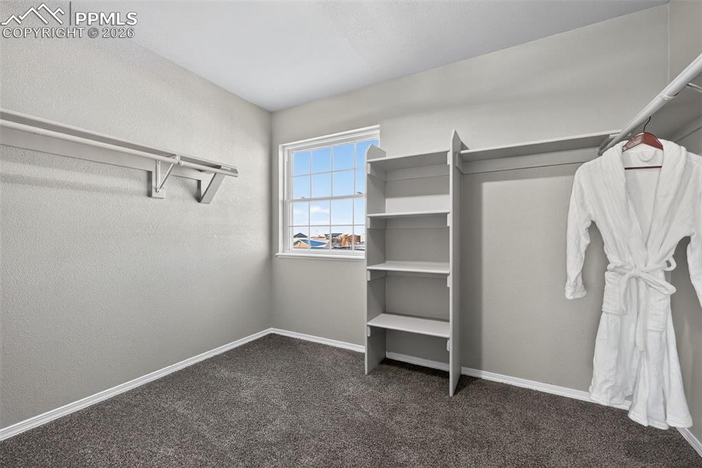 A HUGE walk in closet with some storage solutions already done for you.