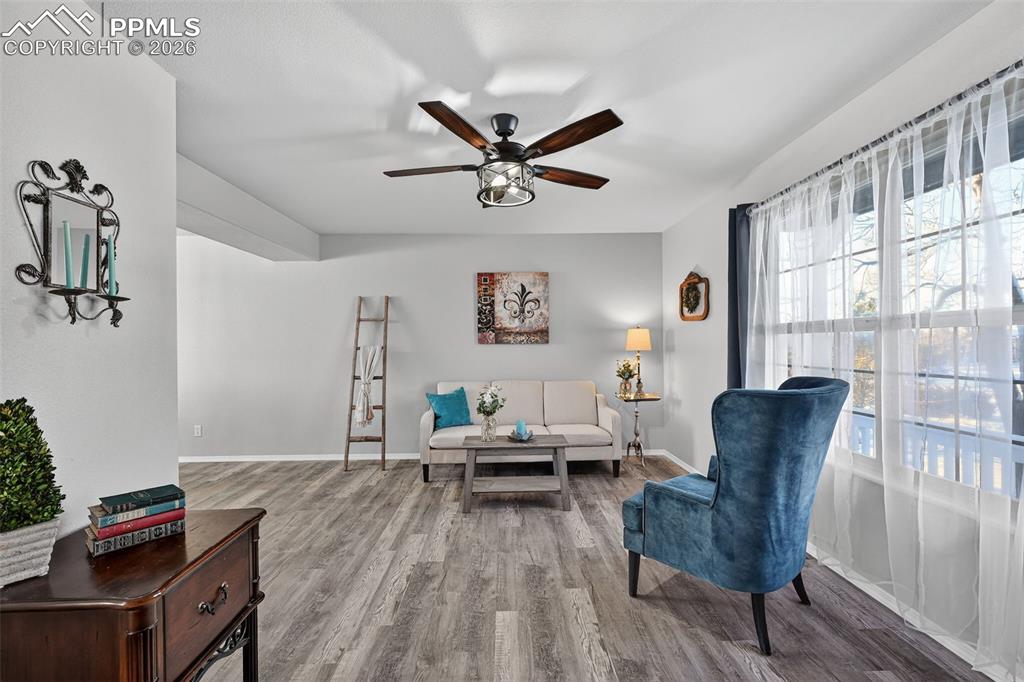 Another view of the living room. Plenty of natural light. 