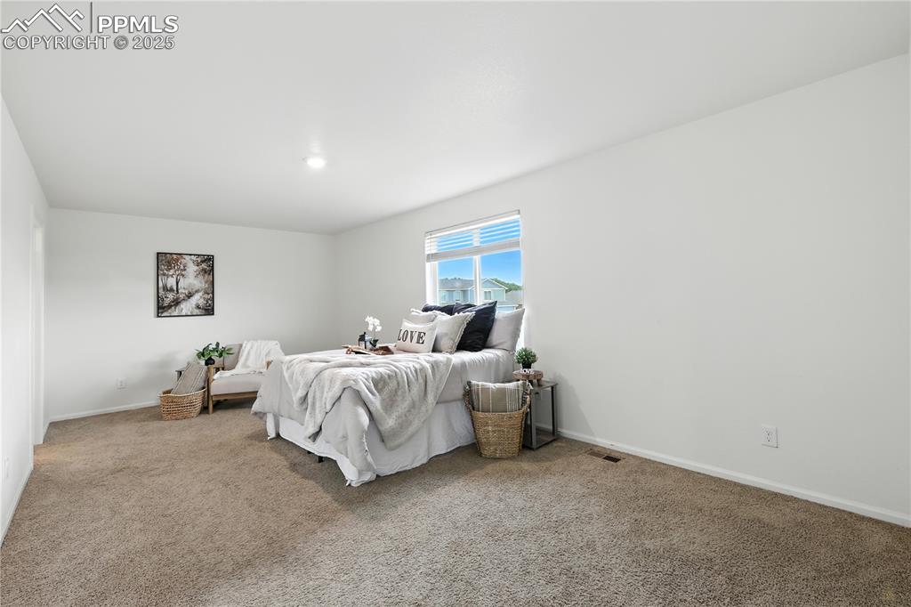 Upper level Primary Bedroom with a generous walk in closet and adjoining 5 piece Bathroom.