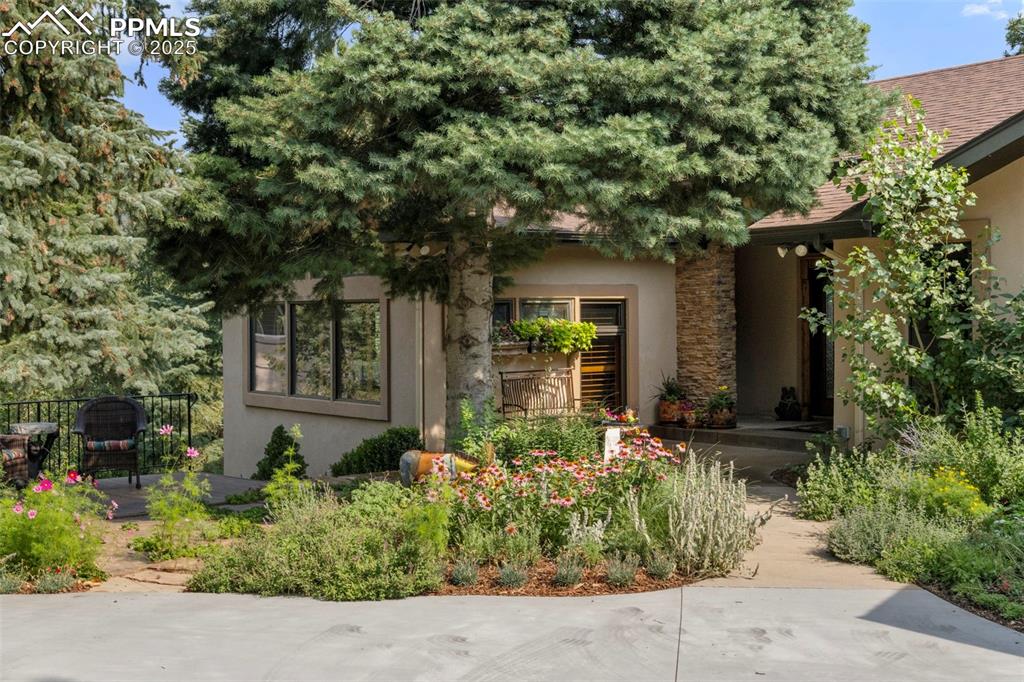 40 Upland Road photo 2