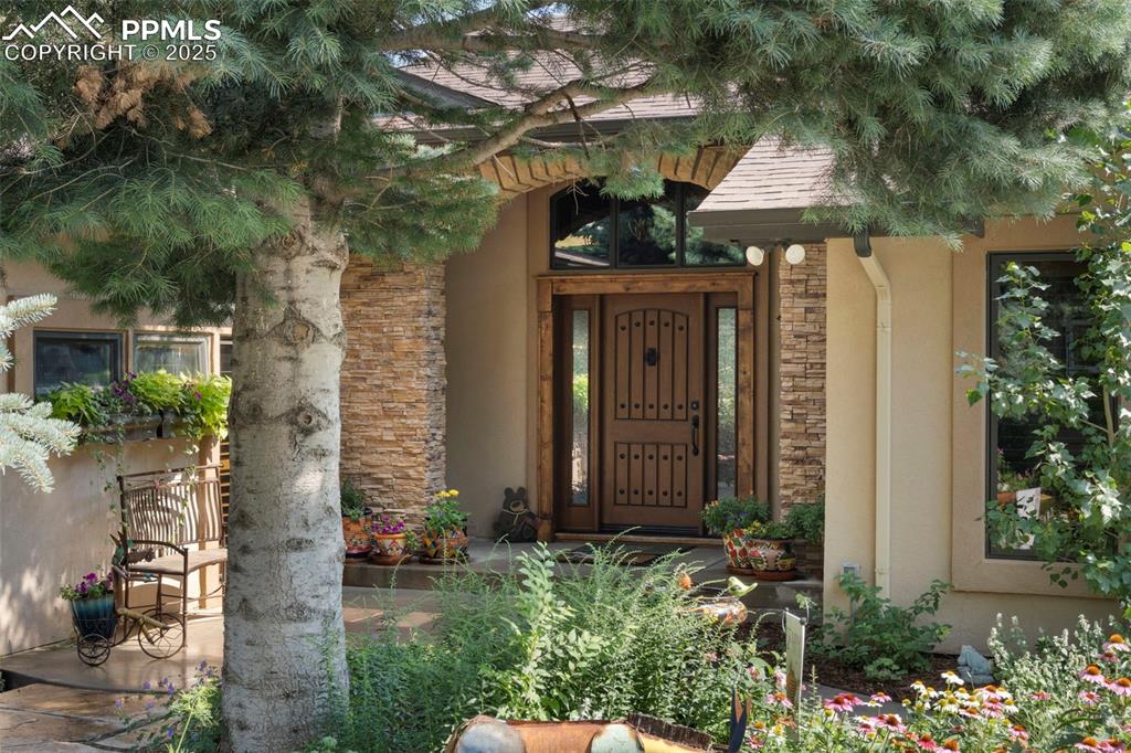 40 Upland Road photo 3