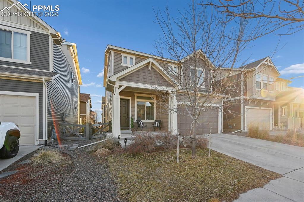 8261 Cypress Wood Drive photo 3