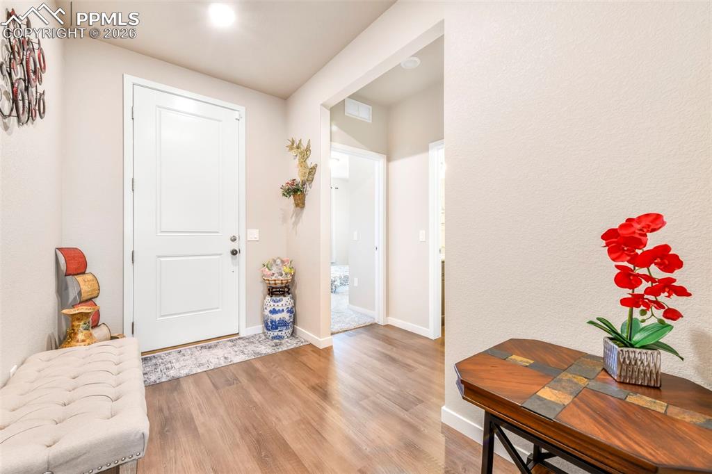 9738 Treasurevault Trail photo 2