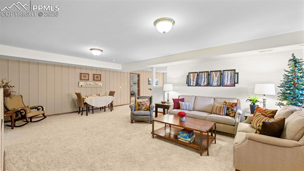 Lower Level Family Room