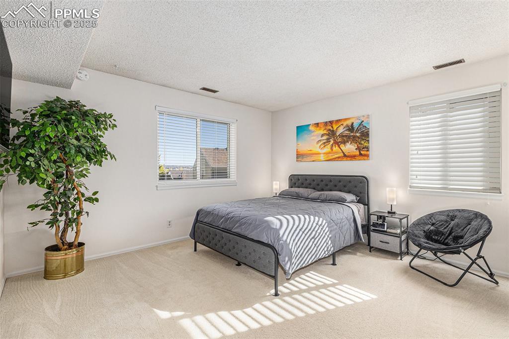 Large master bedroom with faux wood blinds and newer carpet!