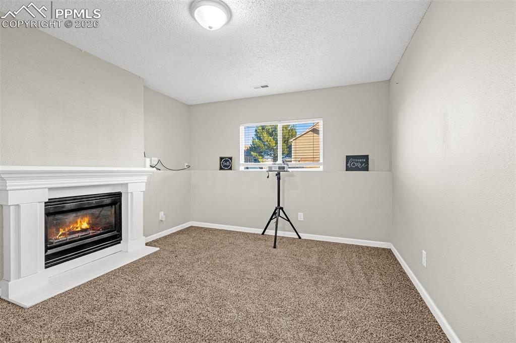 Lower level family room with fireplace