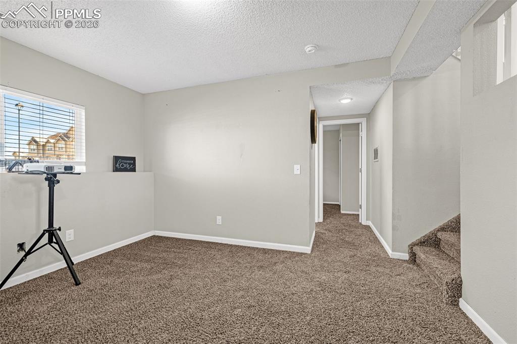 Lower level family room with fireplace