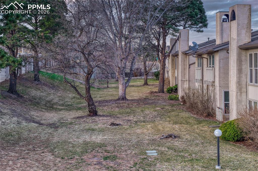 This is your backyard area 