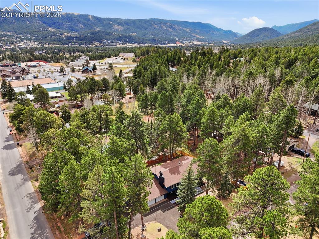 307 Evergreen St, Woodland Park, CO 80863
