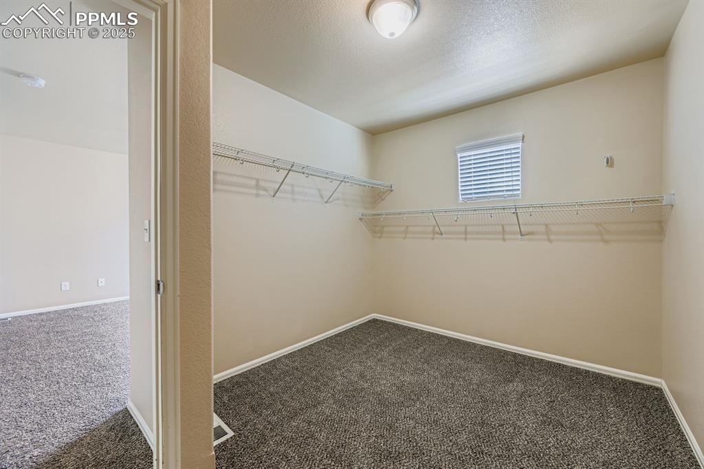 Walk in closet featuring carpet floors