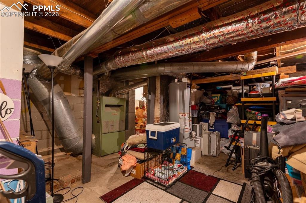 Basement Storage Area