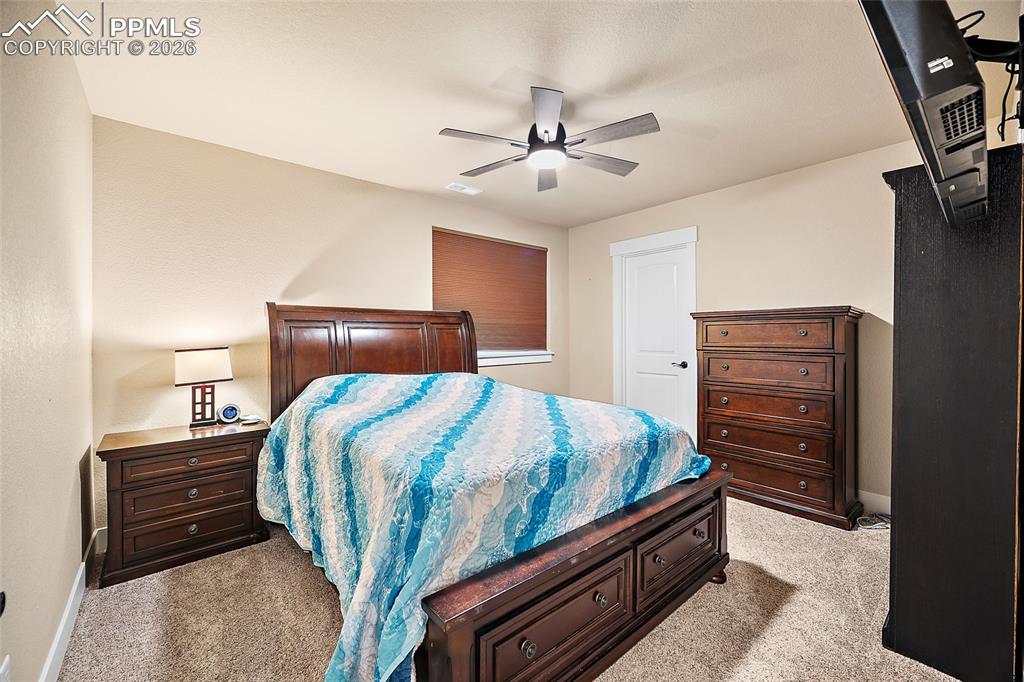 Lower level bedroom with walk in closet.