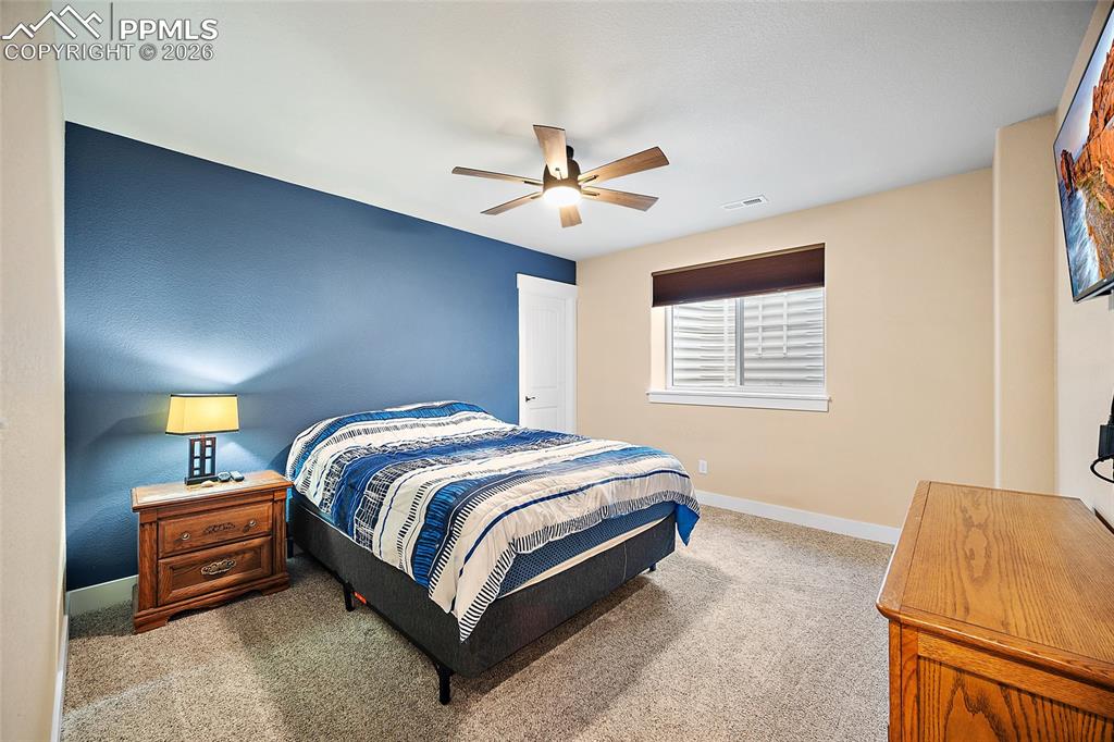 Lower level bedroom with walk in closet.