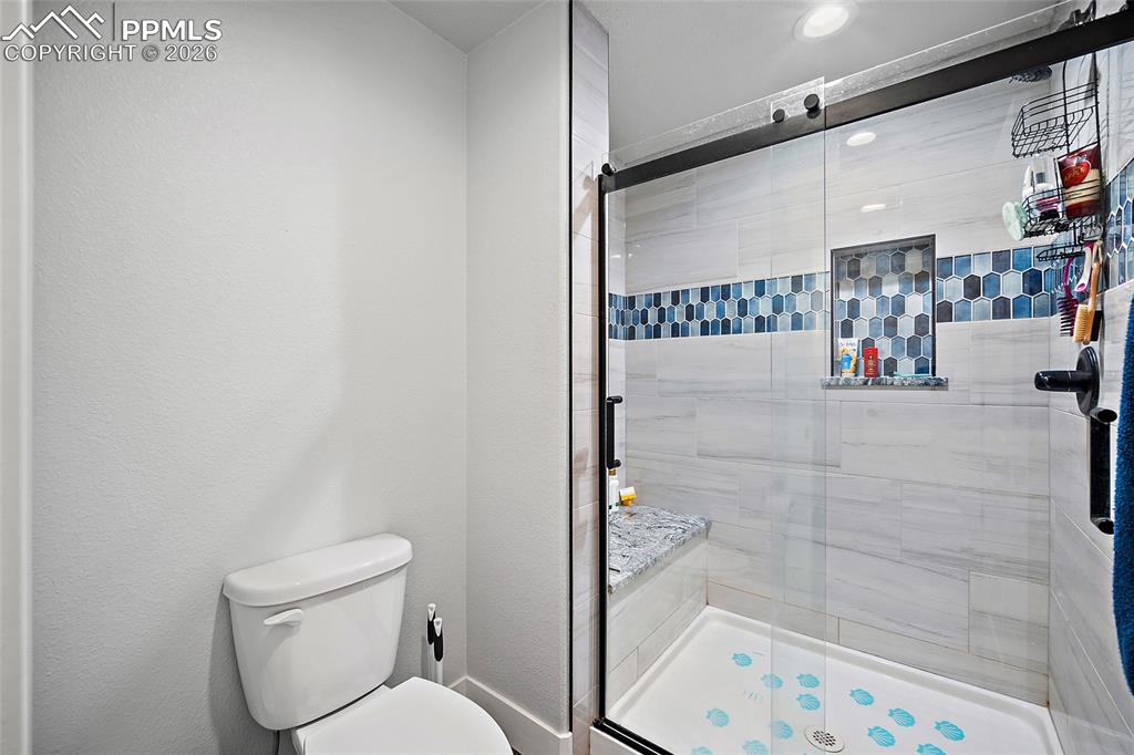 Lower level bathroom shower.