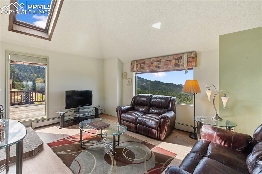 Living room featuring wood finished floors, vaulted ceiling, a baseboard radiator, a skylight, and a textured ceiling