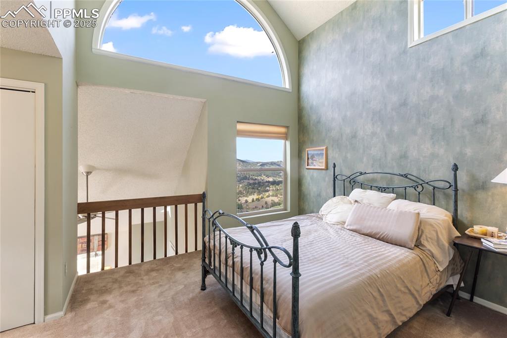 Bedroom featuring a high ceiling, multiple windows, and carpet