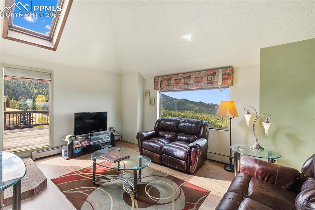 Living area featuring wood finished floors, baseboard heating, lofted ceiling, and a skylight