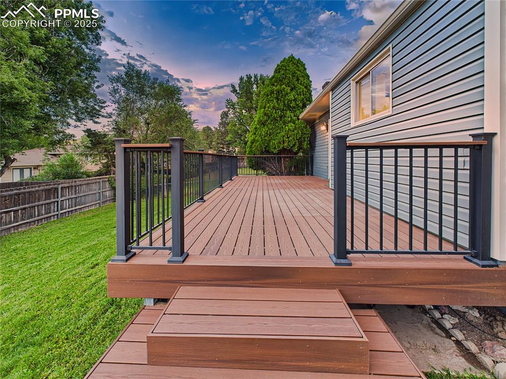 Trex Deck (Side View) – A closer look at the Trex deck (2019) highlights its clean design, sturdy black railings, and multiple stair access points—ideal for backyard entertaining.