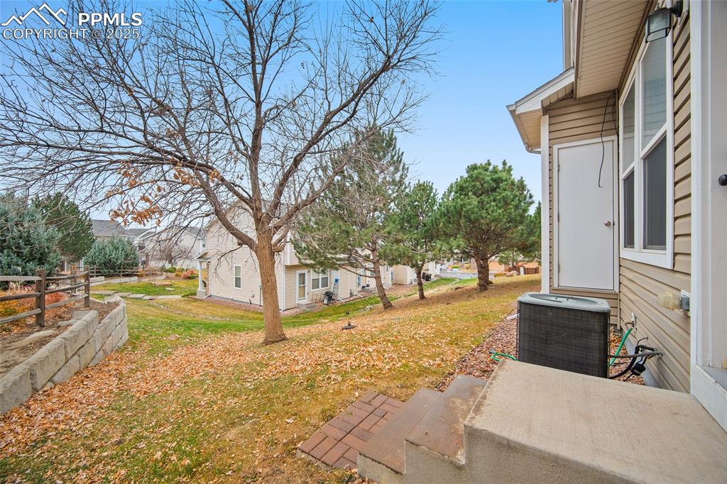 Grassy area off the back door. 