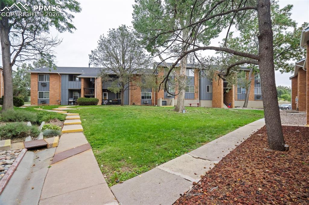 Green area outside the front door.