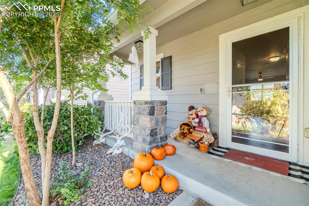 4027 Silver Star Grove photo 2