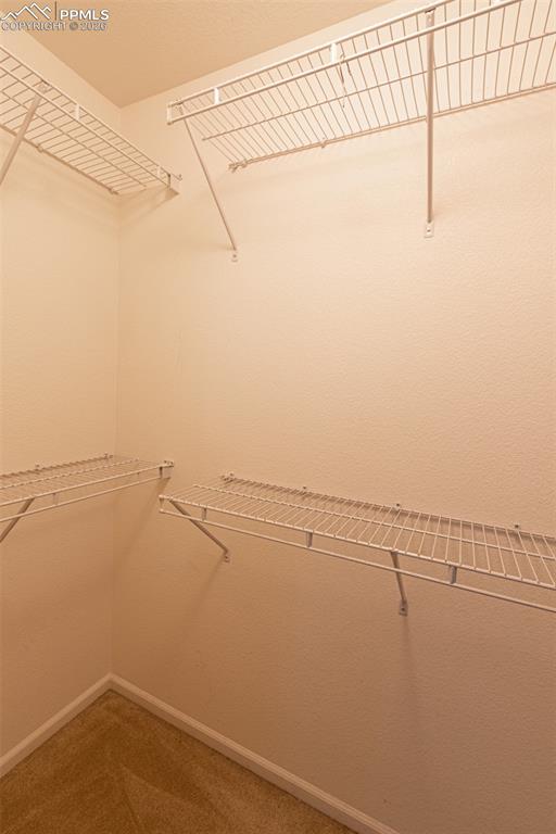Walk in closet featuring light colored carpet