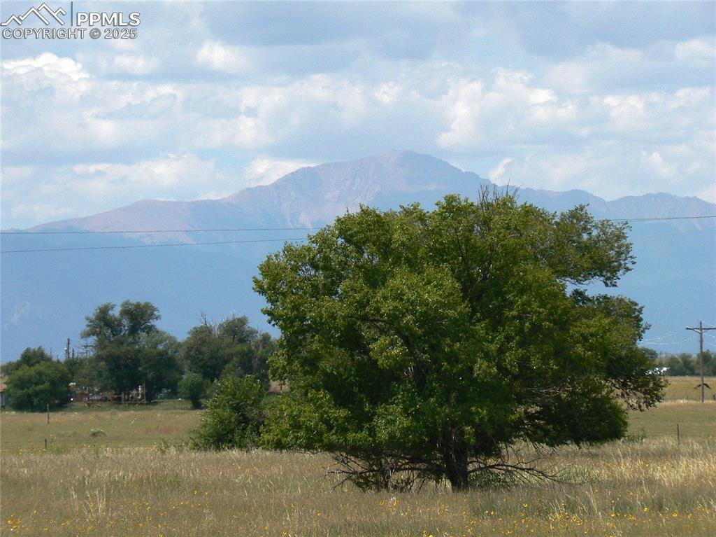 View from the back deck