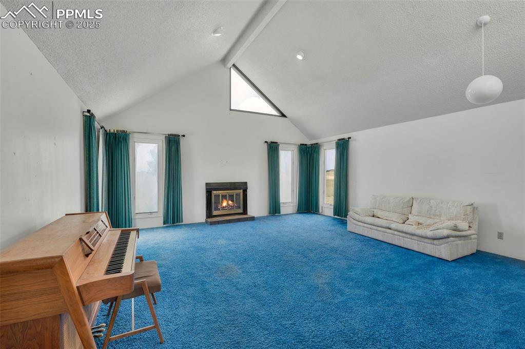 Beautiful valuted ceiling with skylights on each end of the room