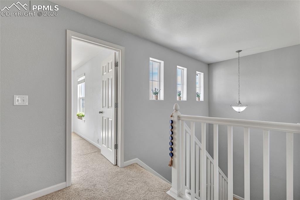 Freshly painted hallway with lots of natural lighting