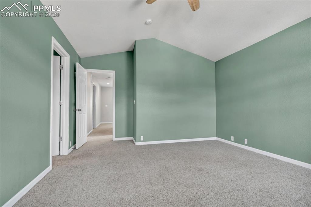 Spacious primary with fresh paint, large windows, and walk-in closet