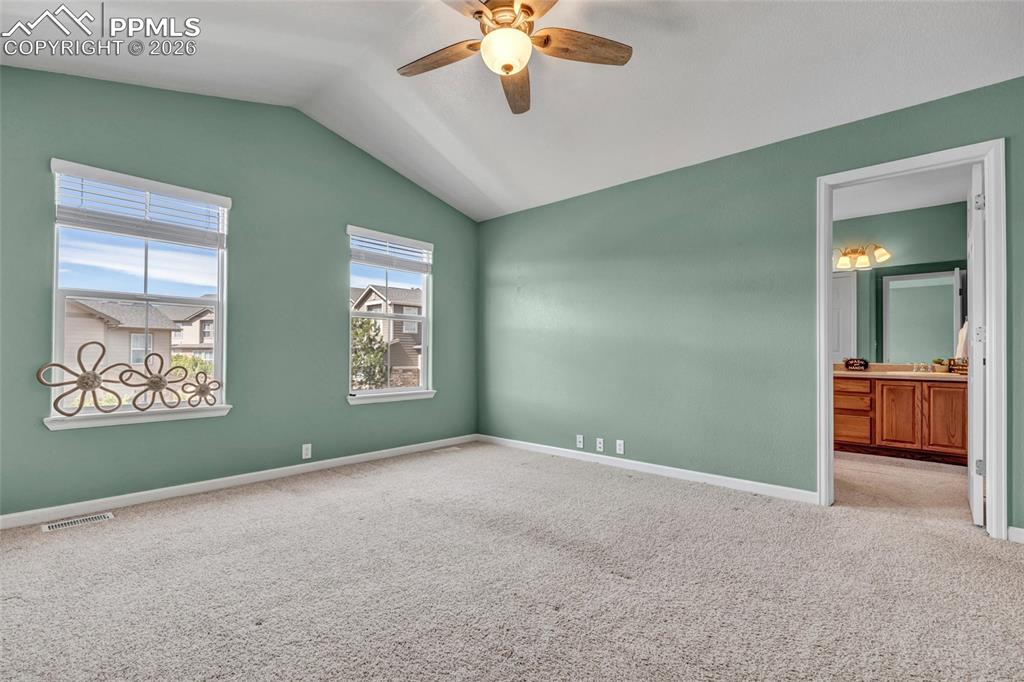 Spacious primary with fresh paint, large windows, and walk-in closet
