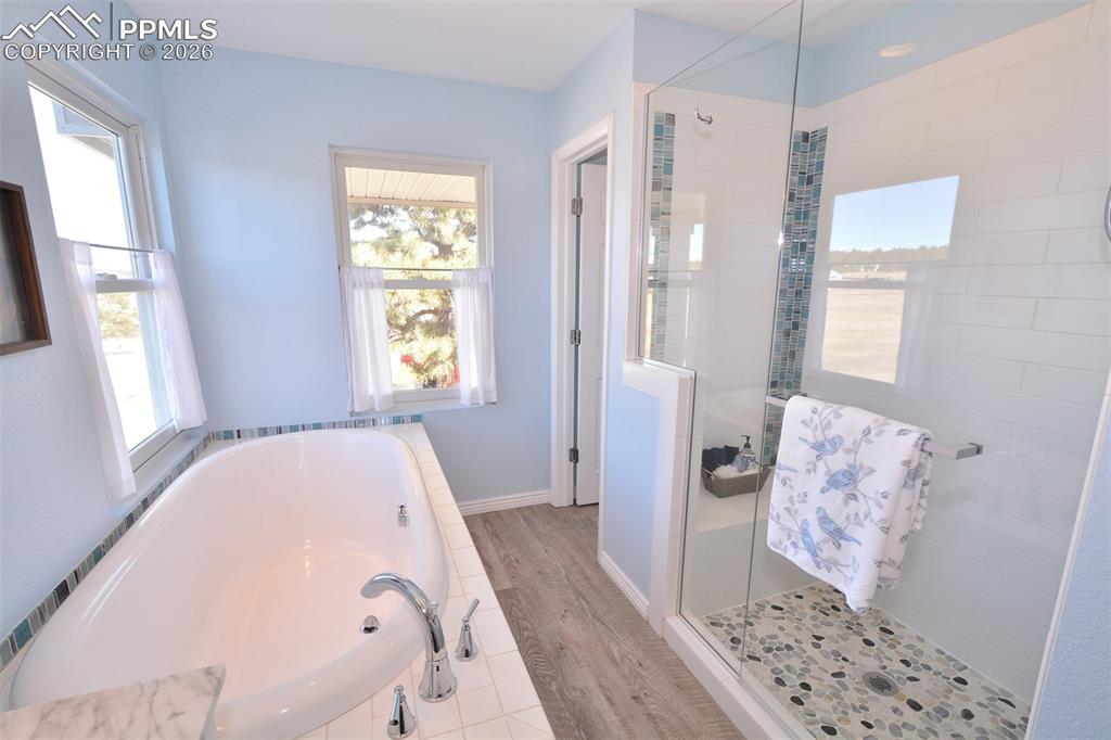 Master bathroom with soaking tub and spa shower.