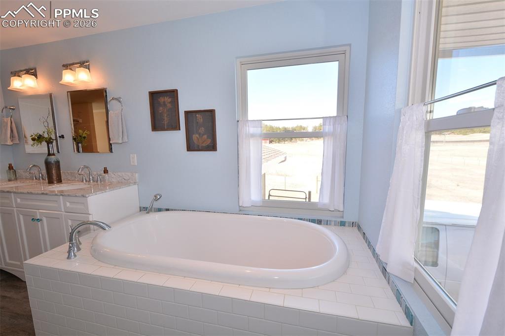 Master bathroom soaking tub.