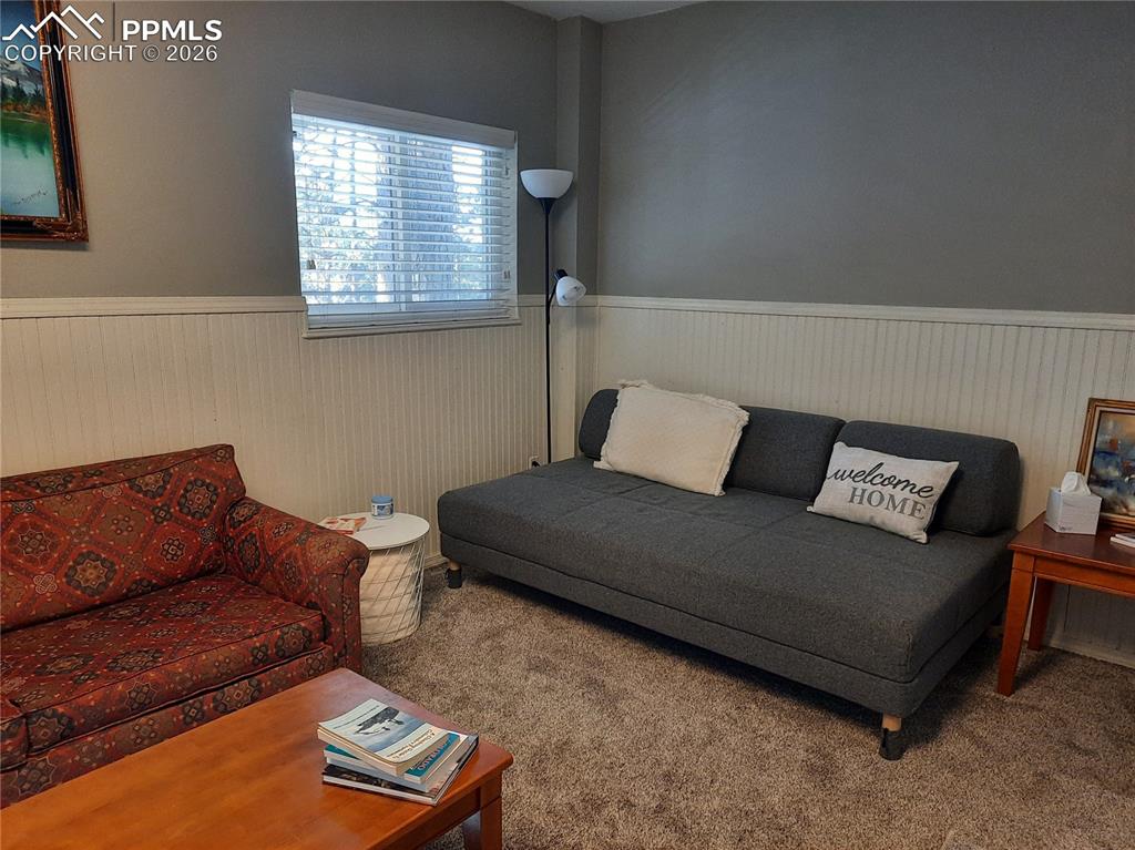 Basement apartment living room